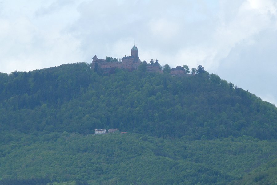 P1000880-haut koenisbourg